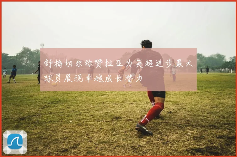舒梅切尔称赞拉亚为英超进步最大球员展现卓越成长潜力