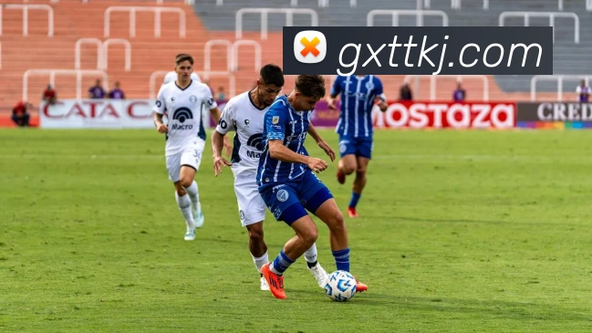 互动解说服务
